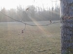 2013-03-03 17.04.09