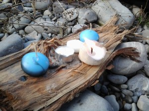 diwali staffora 2013