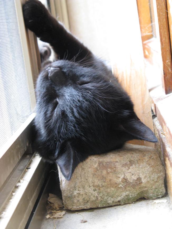 un posto..unico dove dormire