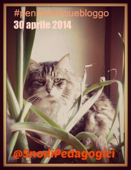 pensodunquebloggoTrotty