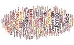 wordle3 ok