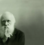 darwin