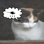 polli alla finestra con&nbsp;topo