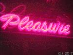 pleasure