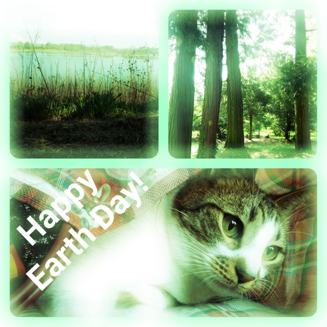 #EarthDay #connection