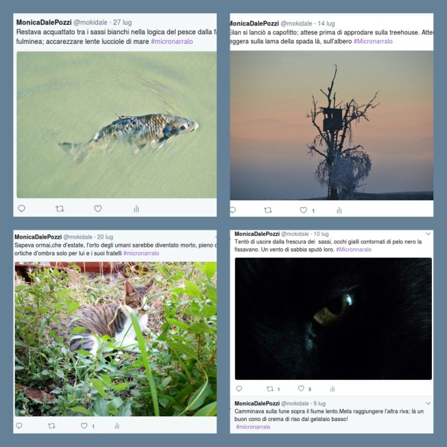 pixlr_20170730194335480