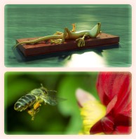 #GiocoCreAttivo #formazione #genitorialità #genitori #bambini