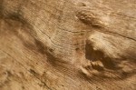 wood-3052032_1280