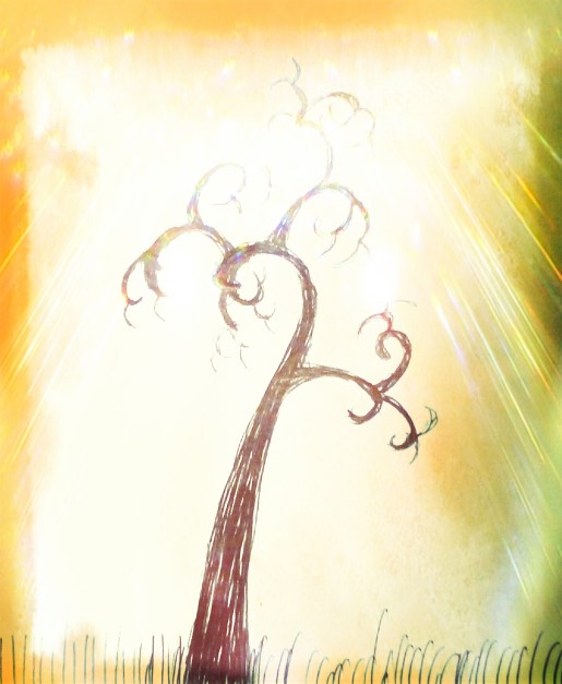 IMG_20180531_205856(1)